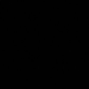 Meet your Posher, Dodge